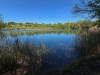 img-20260501-wa0029