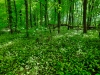 img-20260501-wa0046