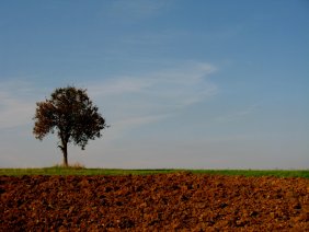 2015-10-11 Bliesgersweiler wander_img_6013