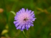 lux_058