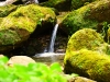 lux_077