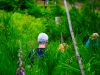 lux_118