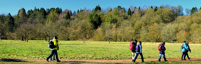 EWS Wanderung “Über Wiesen und Weiden bei Welschbach” - Erlebnis ...